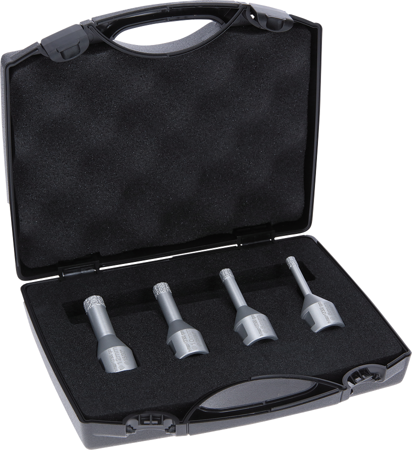 BOSCH Dry Speed DIA-TB-Set für WS 6/8/10/12 mm