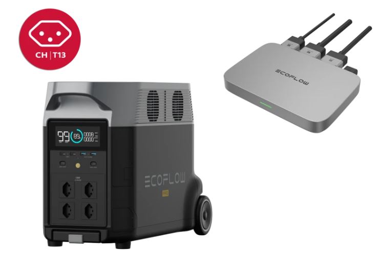 EcoFlow Bundle Delta Pro und Powerstream 600 W